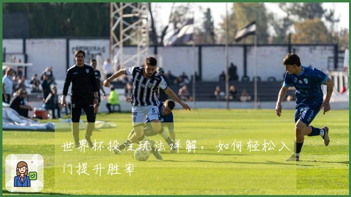 世界杯投注玩法详解，如何轻松入门提升胜率