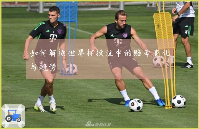 如何解读世界杯投注中的赔率变化与趋势