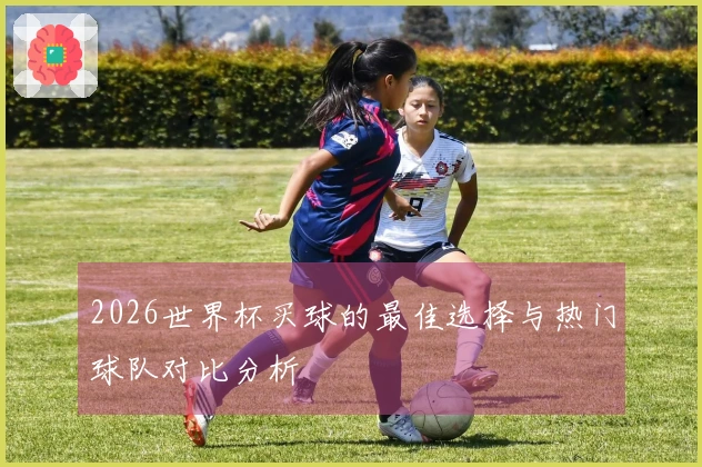 2026世界杯买球的最佳选择与热门球队对比分析
