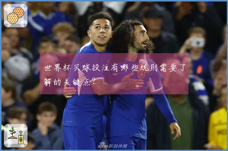 世界杯买球投注有哪些规则需要了解的关键点？