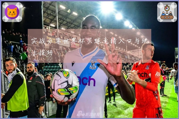实战分享世界杯买球竞猜入口与玩法技巧