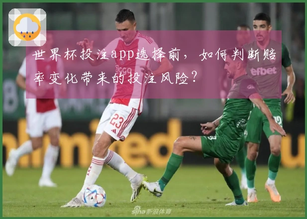 世界杯投注app选择前，如何判断赔率变化带来的投注风险？