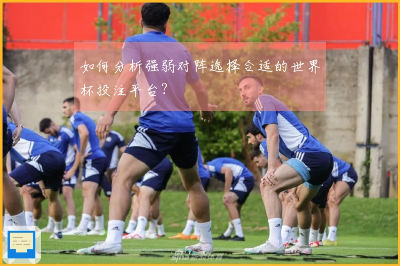 如何分析强弱对阵选择合适的世界杯投注平台？