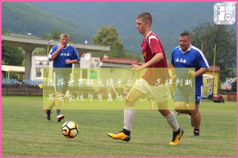 选择世界杯竞猜平台时，怎样判断其安全性与可靠性？