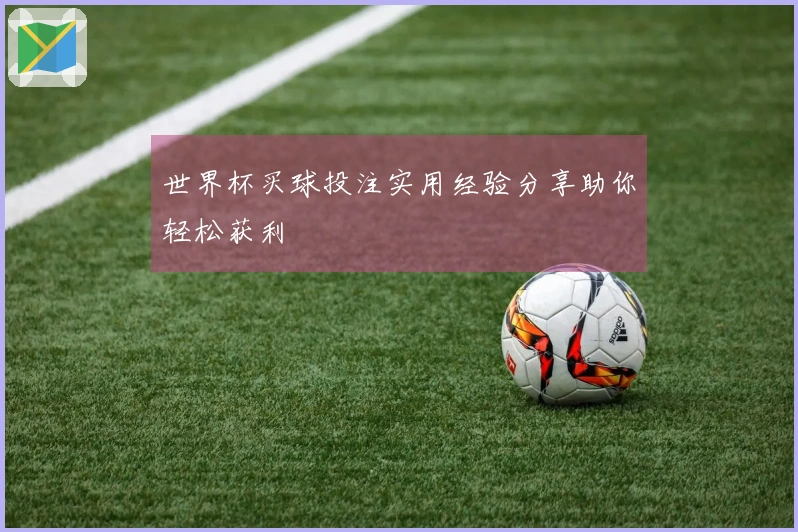 世界杯买球投注实用经验分享助你轻松获利