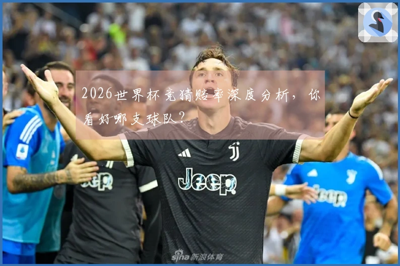 2026世界杯竞猜赔率深度分析，你看好哪支球队？