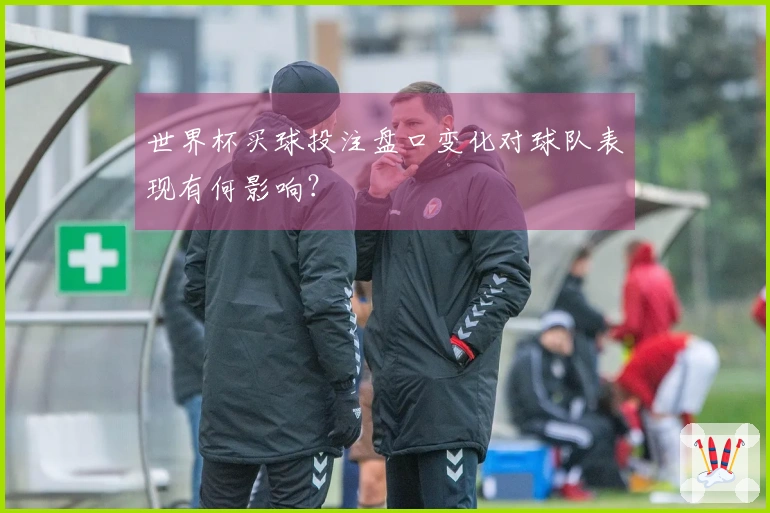 世界杯买球投注盘口变化对球队表现有何影响？