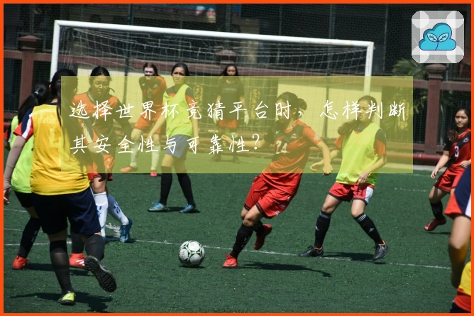 选择世界杯竞猜平台时，怎样判断其安全性与可靠性？