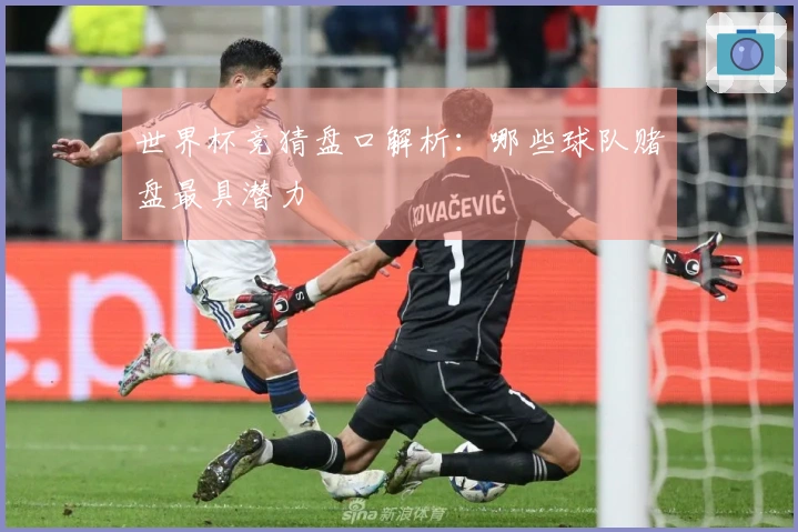 世界杯竞猜盘口解析：哪些球队赌盘最具潜力