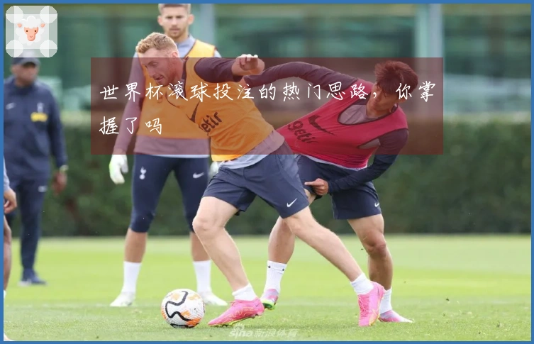世界杯滚球投注的热门思路，你掌握了吗