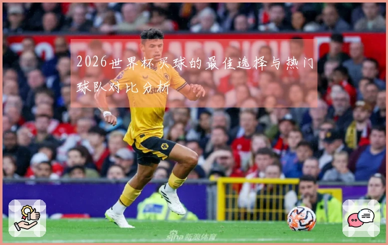 2026世界杯买球的最佳选择与热门球队对比分析
