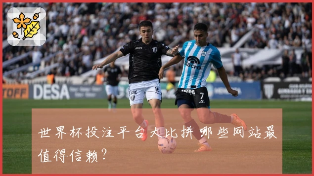 世界杯投注平台大比拼 哪些网站最值得信赖？