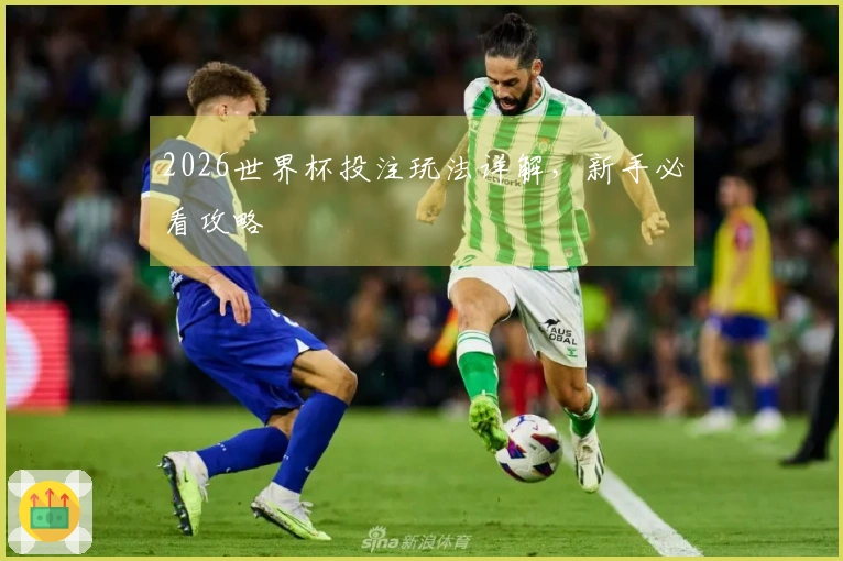 2026世界杯投注玩法详解，新手必看攻略