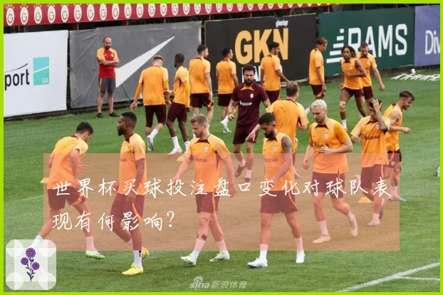 世界杯买球投注盘口变化对球队表现有何影响？