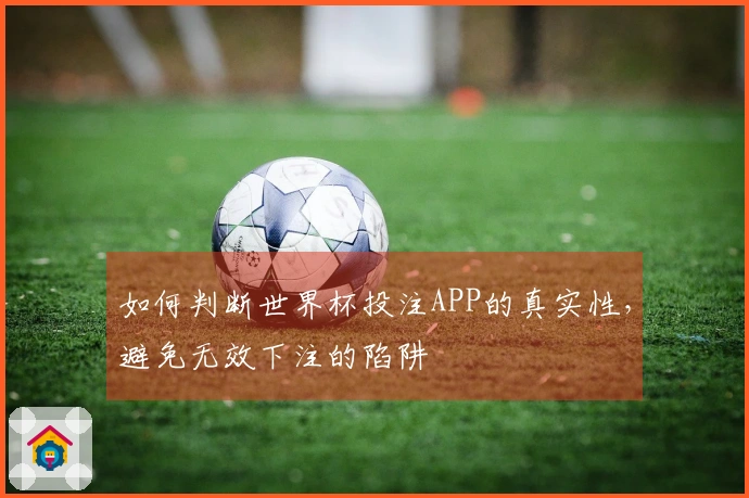 如何判断世界杯投注APP的真实性，避免无效下注的陷阱