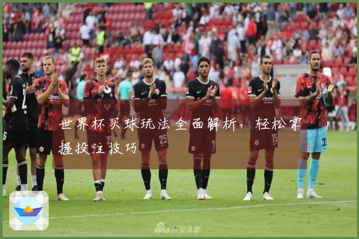 世界杯买球玩法全面解析，轻松掌握投注技巧