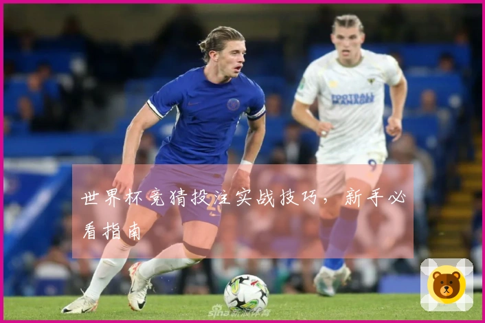 世界杯竞猜投注实战技巧，新手必看指南