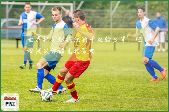 世界杯买球投注新手经验分享，轻松搞定你的竞猜策略