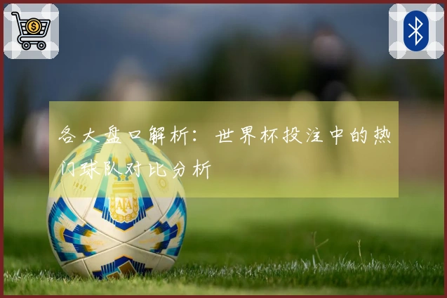 各大盘口解析：世界杯投注中的热门球队对比分析