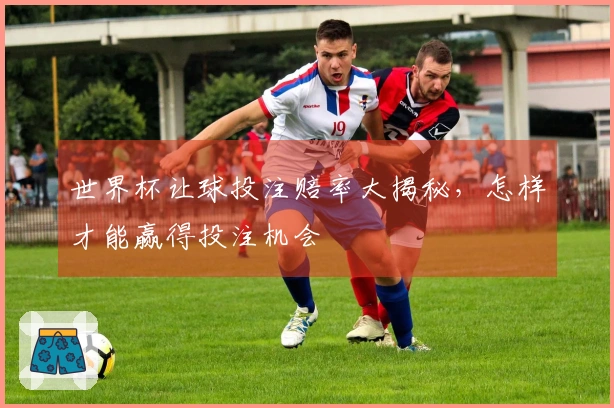 世界杯让球投注赔率大揭秘，怎样才能赢得投注机会