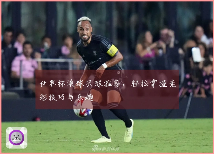 世界杯滚球买球推荐，轻松掌握竞彩技巧与乐趣