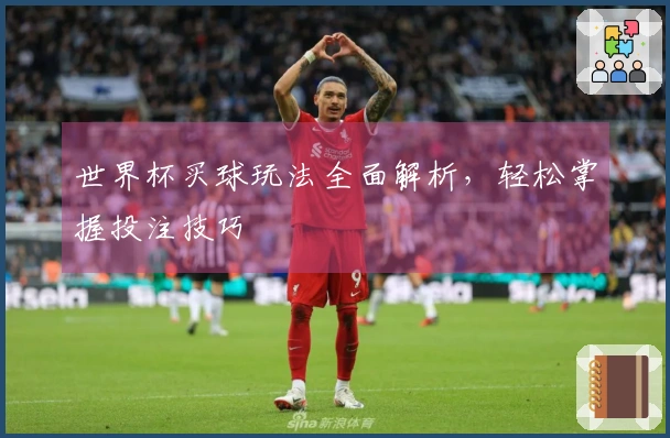 世界杯买球玩法全面解析，轻松掌握投注技巧
