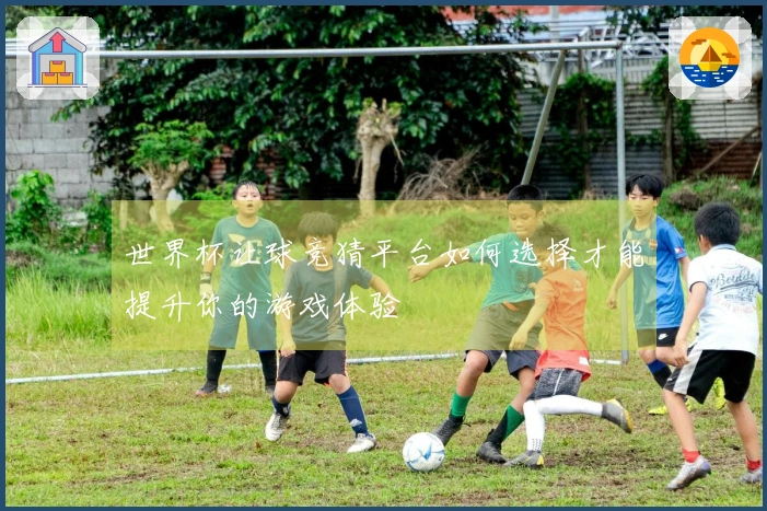 世界杯让球竞猜平台如何选择才能提升你的游戏体验
