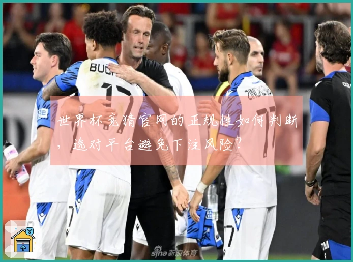 世界杯竞猜官网的正规性如何判断，选对平台避免下注风险？