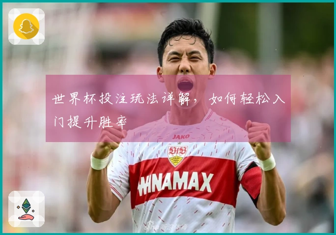世界杯投注玩法详解，如何轻松入门提升胜率