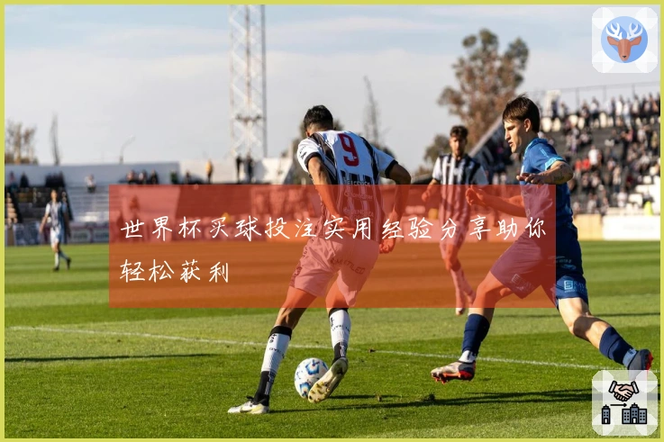 世界杯买球投注实用经验分享助你轻松获利