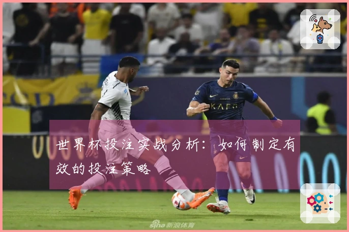 世界杯投注实战分析：如何制定有效的投注策略
