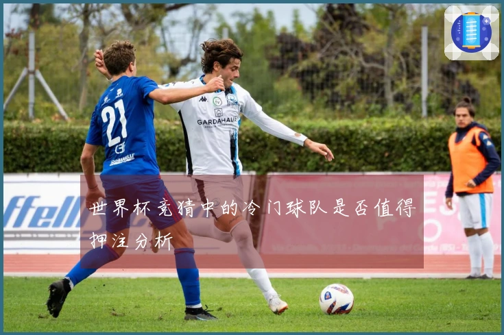 世界杯竞猜中的冷门球队是否值得押注分析